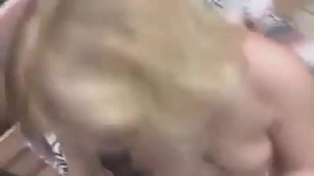 Naked Grannies Suck On Hung Black Dicks Tightpussycam Uploaded