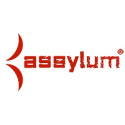 Assylum