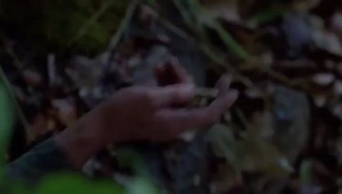 Watch Predator 1987