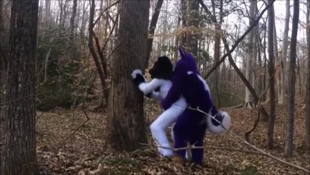 Furry Yiff (Fursuit)