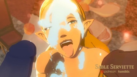 Zelda Hentai Cartoon Sex - 3D Hentai Legend of Zelda Breath of the Wild and Link, uploaded by dengath