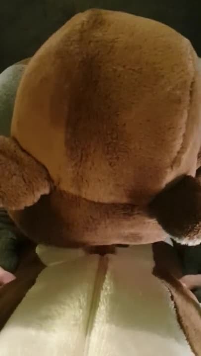 POV Blowjob in Teddy Fleece Bear Onesie