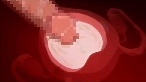 Sperm Anime Porn - Hentai Impregnation Sperm and Egg, uploaded by urisourito