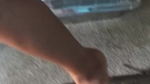 Cousin’s Sexy Candid Feet and Legs (GOT CAUGHT)