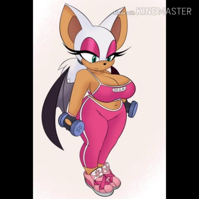 Rouge the Bat Hentai Slideshow, uploaded by ullant