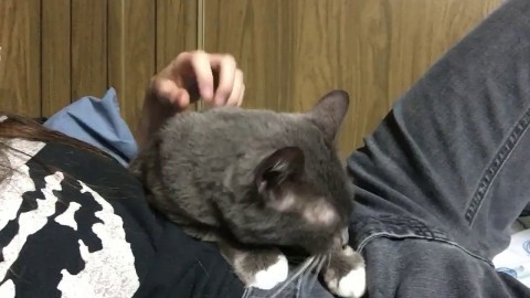 Petting the most Beautiful Pussy