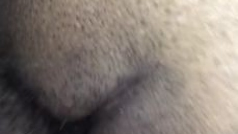 Fat Mexican Pussy Lips are the best