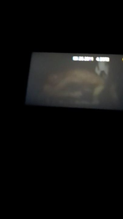 wife masterbates with vibrator on clit till she cums ,then sucks my cocktail till I cum