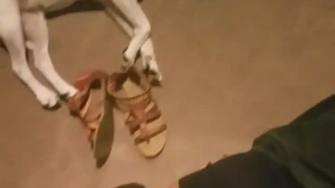 Boyfriend Rubs Feet and Flashes Cock