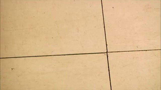 Maddy Trailer ( Maddy O'Reilly 1st and 2nd anal for hardx maddy