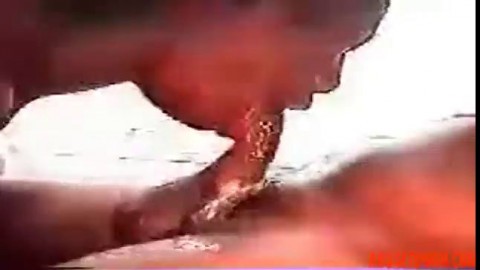 Hooker Deepthroat: Free Amateur HD Porn VideoxHamster deethroat - abuserporn.com