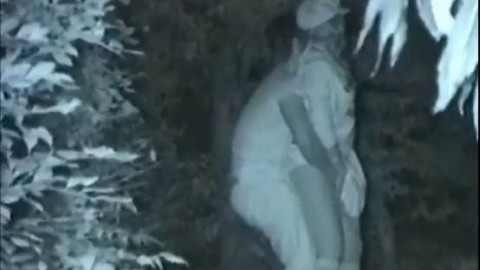 Outdoor Sex Couples Fucking Late Night