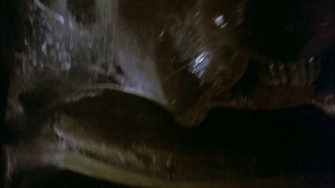 Galaxy Of Terror Worm Scene (8H) Giant worm fucked the beautiful female officer, her stomach was bulged from inside with its dic