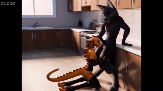 Furry Wolf Kitchen Blowjob Animation