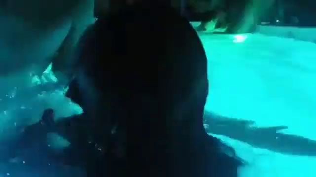 Giselle Montes folla en la piscina parte 1