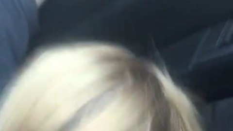 Sexy girlfriend sucking me off giving roadhead