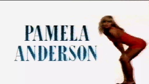 ATARI ST Pamela Anderson (19xx)(-)[m tSCc][XXX] st zip