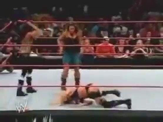 Torrie Wilson vs Mickie James.