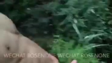 #_ROSENONE2_4.1
