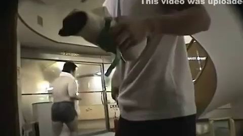 japan,gay,spy 8
