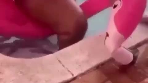 Lovely Peaches Gets Stuck In Pool Naked on Flamingo Float