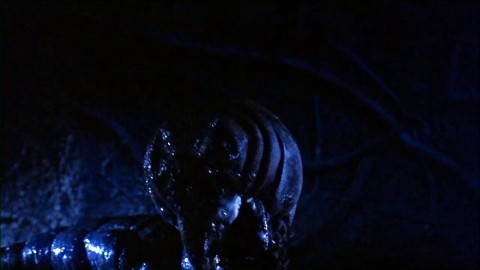 Worm Sex Scene From The Movie Galaxy Of Terror : Full movie with the enhanced X-rated worm sex scene.
