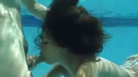 underwater blowjob Full HD Porn Videos - PlayVids