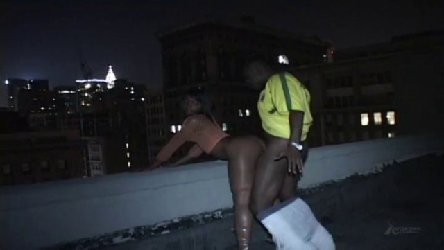 Roxy Reynolds Rooftop Nyc — PornOne ex vPorn