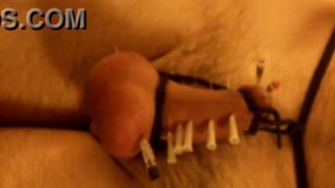 cock and balls skewered xvid