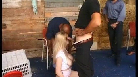 Innocent blonde gang banged in a barn by a group of horny pigs