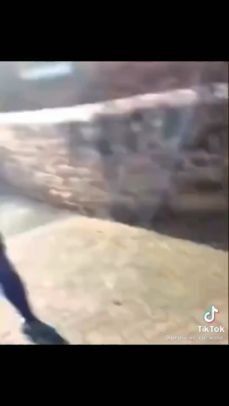 Coke cola Man vs Pepsi man (tiktok)