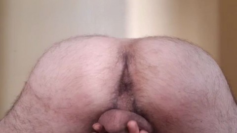 Peludo barba131 se exibindo