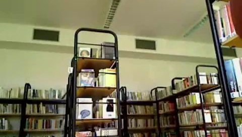 Amateur Nude In Public Library