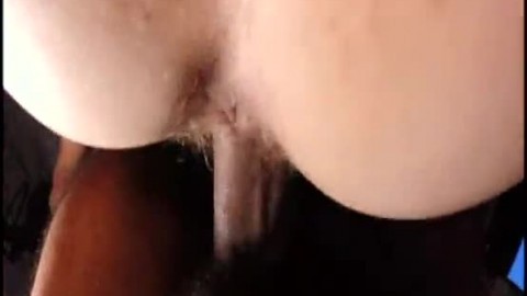 Hairy pussy amateur wife doggy style pussy fart queef interracial big soft white ass porn