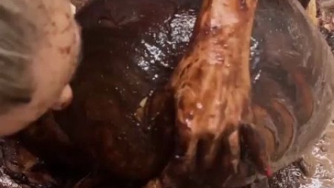 SweetTaty Hot Pissing Wifey IconAmira - nsfw.su/ilmhkd