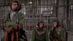 Escape From The Planet Of The Apes 1971
