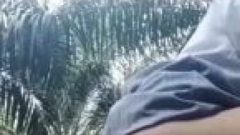 sma mesum di kebun sawit dporn