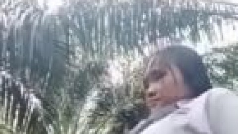 sma mesum di kebun sawit dporn