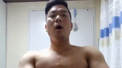 Korean Muscle Bear (no sound)