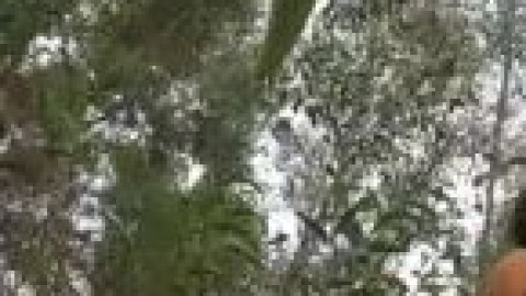 nekat! ukhty ngewe di hutan 免费色情