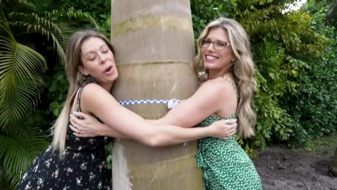 Big Tits Chicks Cory Chase And Nikki Brooks Take Off Their Clothes Zeina Heart Sex Gilrs Hot