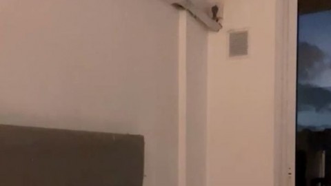 kishanaira Brebre Big Boobs Gingerpawz - https://ja.cat/tg