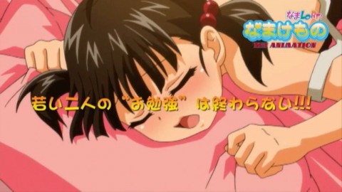 なまけもの①