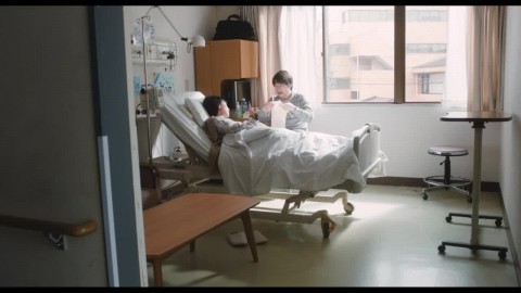 働く細胞 Cells at Work 2024Ⓕ 邦画