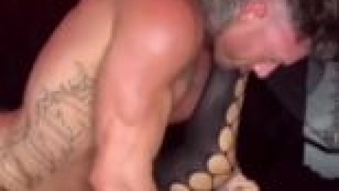 amanda nicole fucked hard xbids