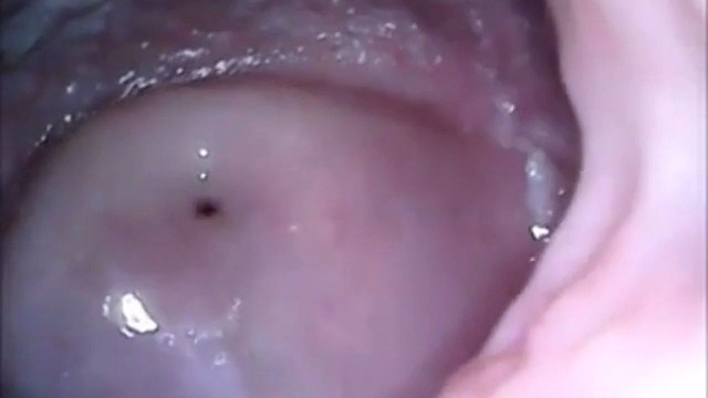 sex live cam chat Nude-Cams dot net